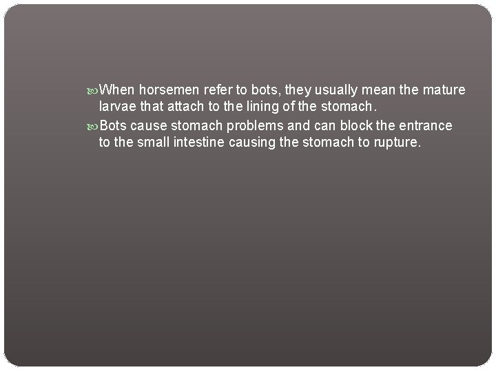 When horsemen refer to bots, they usually mean the mature larvae that attach When horsemen refer to bots, they usually mean the mature larvae that attach
