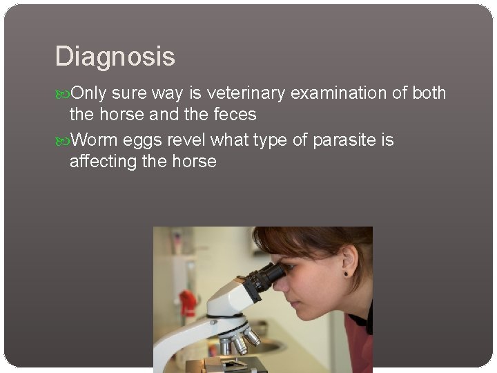 Diagnosis Only sure way is veterinary examination of both the horse and the feces