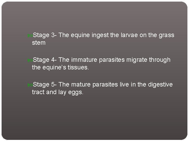  Stage 3 - The equine ingest the larvae on the grass stem Stage