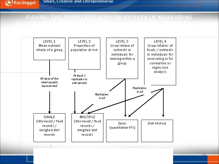 FIGURE: THE FOUR LEVELS OF OBJECTIVES IN MEASURING NUTRIENT INTAKES AND METHODS WHICH CAN