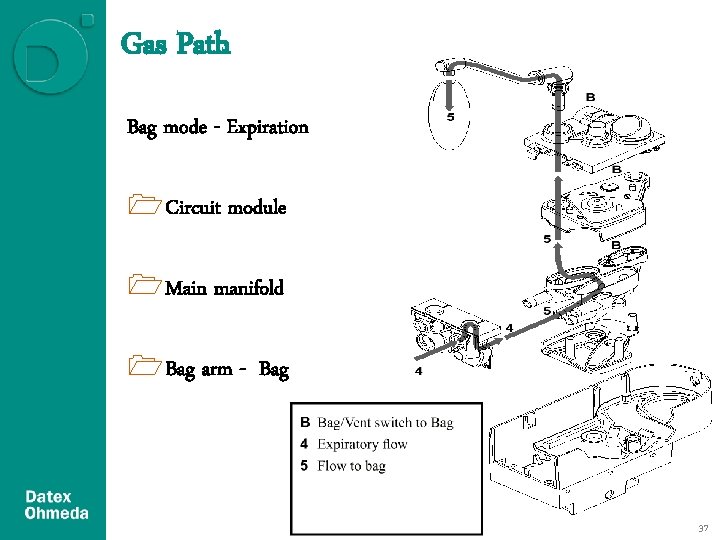 Gas Path Bag mode - Expiration 1 Circuit module 1 Main manifold 1 Bag Gas Path Bag mode - Expiration 1 Circuit module 1 Main manifold 1 Bag