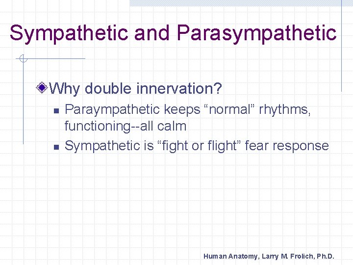 Sympathetic and Parasympathetic Why double innervation? n n Paraympathetic keeps “normal” rhythms, functioning--all calm