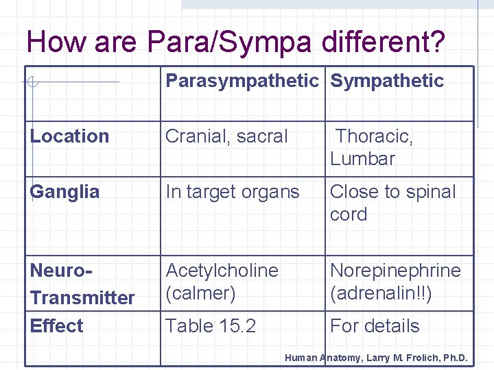 How are Para/Sympa different? Parasympathetic Sympathetic Location Cranial, sacral Thoracic, Lumbar Ganglia In target