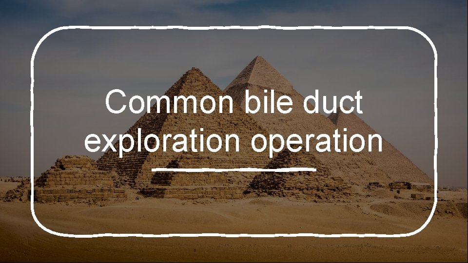 Common bile duct exploration operation 