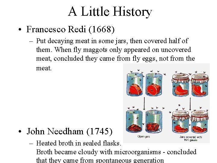 A Little History • Francesco Redi (1668) – Put decaying meat in some jars,