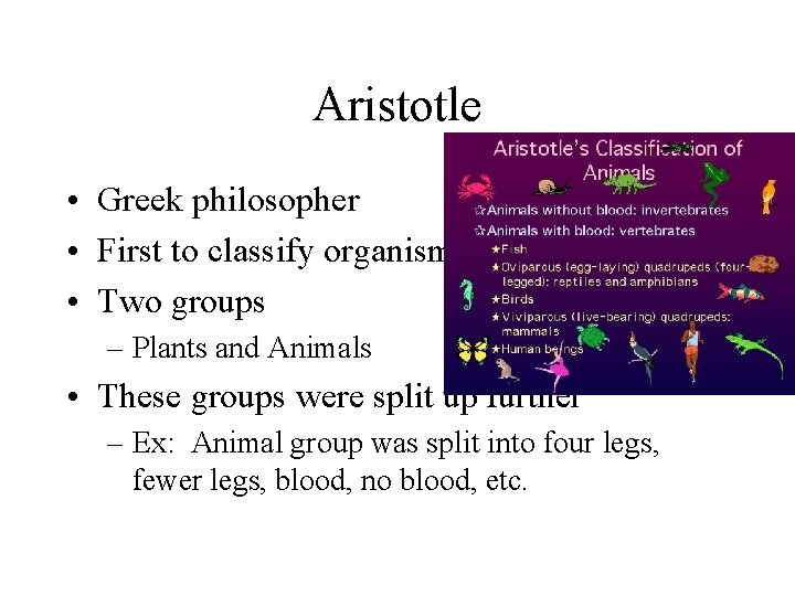 Aristotle • Greek philosopher • First to classify organisms • Two groups – Plants