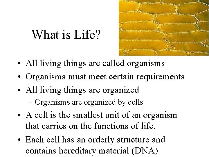 What is Life? • All living things are called organisms • Organisms must meet