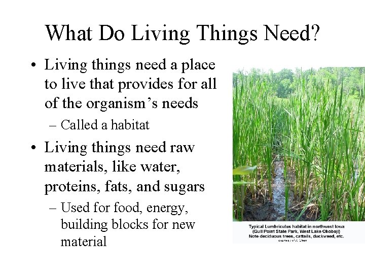 What Do Living Things Need? • Living things need a place to live that