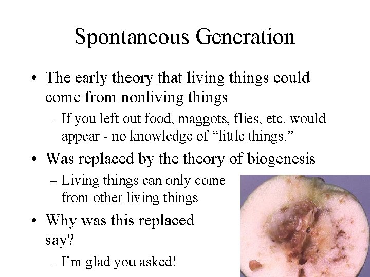 Spontaneous Generation • The early theory that living things could come from nonliving things