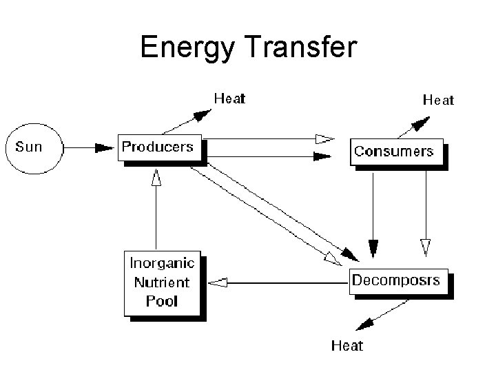 Energy Transfer 