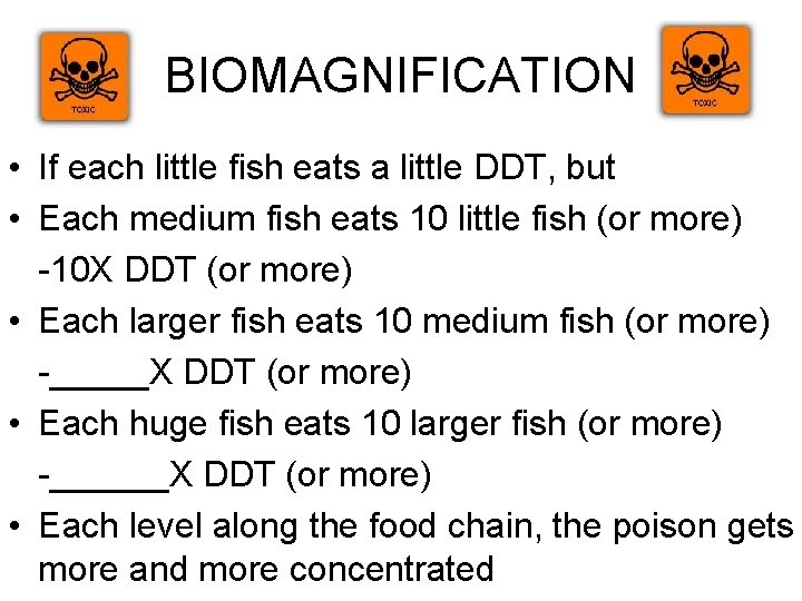 BIOMAGNIFICATION • If each little fish eats a little DDT, but • Each medium