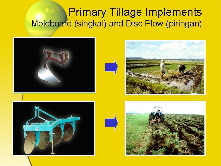 Primary Tillage Implements Moldboard (singkal) and Disc Plow (piringan) 