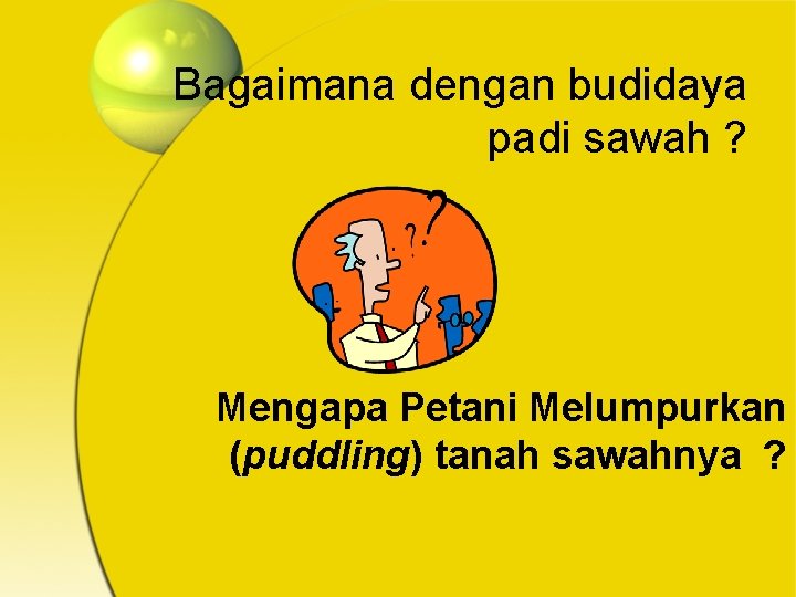 Bagaimana dengan budidaya padi sawah ? Mengapa Petani Melumpurkan (puddling) tanah sawahnya ? 