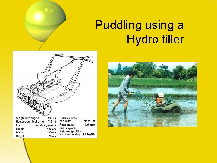 Puddling using a Hydro tiller 