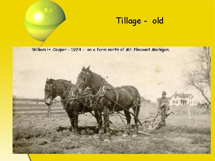 Tillage - old 