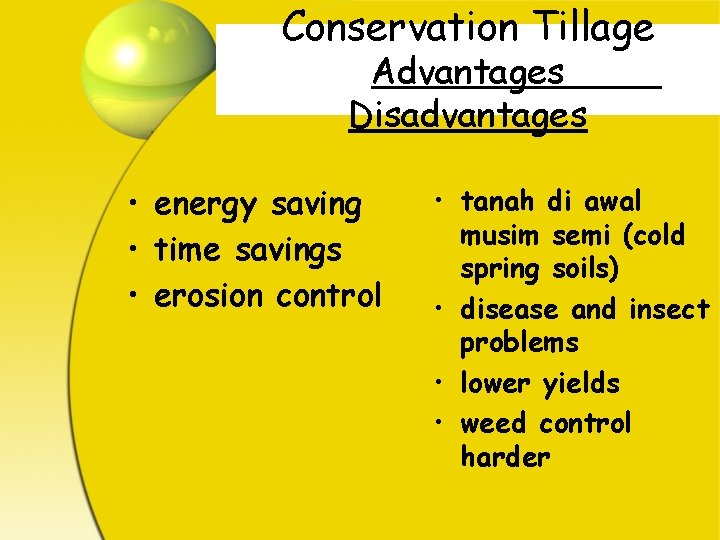 Conservation Tillage Advantages Disadvantages • energy saving • time savings • erosion control •