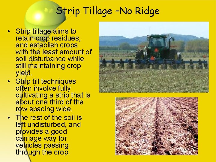 Strip Tillage –No Ridge • Strip tillage aims to retain crop residues, and establish