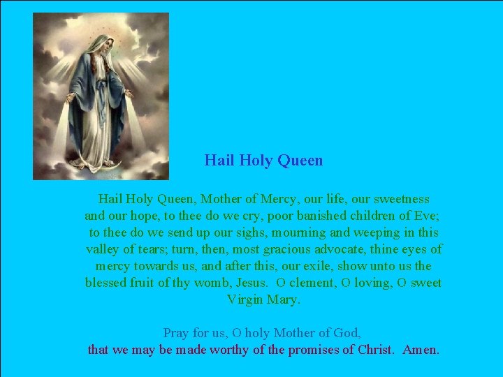 Hail Holy Queen, Mother of Mercy, our life, our sweetness and our hope, to