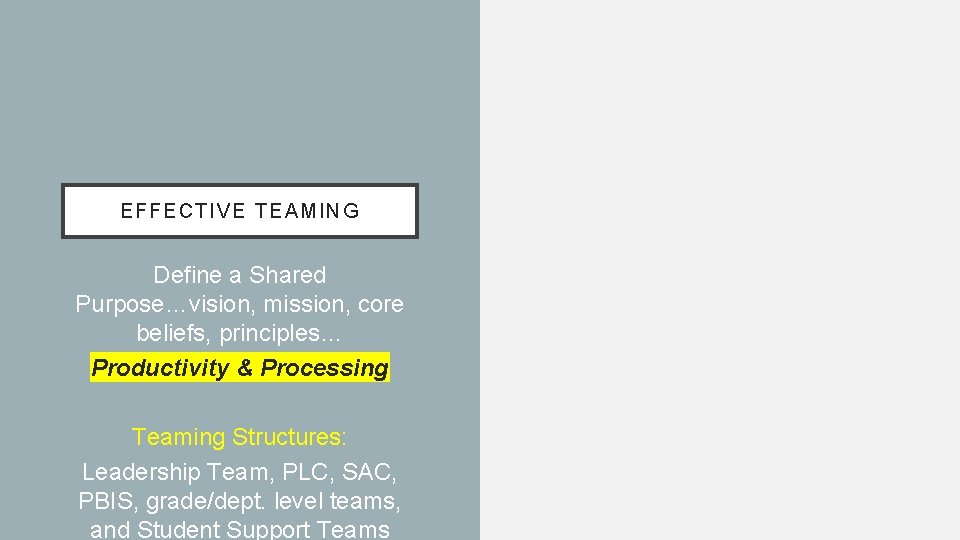 EFF E CTIVE TEAMING Define a Shared Purpose…vision, mission, core beliefs, principles… Productivity &