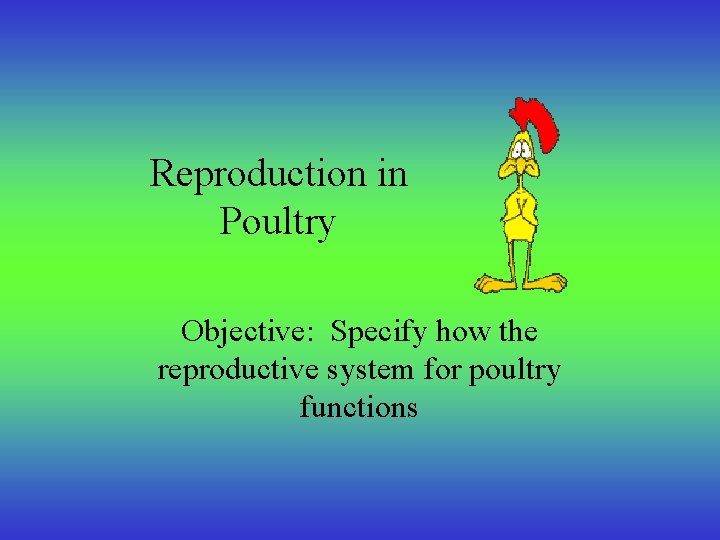 Reproduction in Poultry Objective: Specify how the reproductive system for poultry functions 