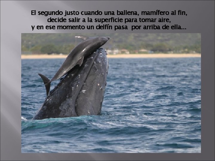 El segundo justo cuando una ballena, mamífero al fin, decide salir a la superficie