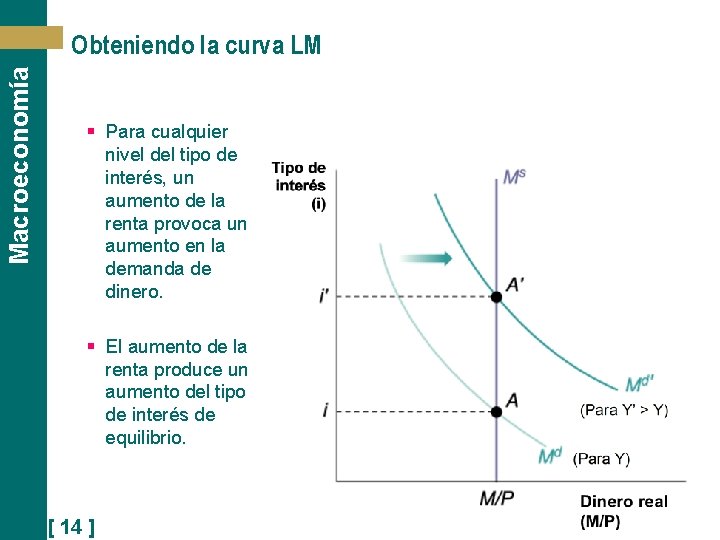 Macroeconomía Obteniendo la curva LM § Para cualquier nivel del tipo de interés, un