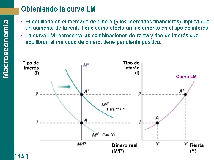 Macroeconomía Obteniendo la curva LM § El equilibrio en el mercado de dinero (y