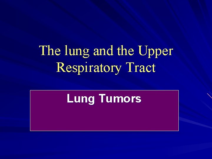 The lung and the Upper Respiratory Tract Lung Tumors 