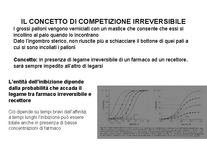 IL CONCETTO DI COMPETIZIONE IRREVERSIBILE I grossi palloni vengono verniciati con un mastice che