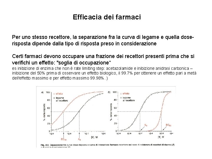 Efficacia dei farmaci Per uno stesso recettore, la separazione fra la curva di legame