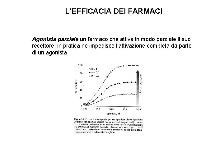 L’EFFICACIA DEI FARMACI Agonista parziale un farmaco che attiva in modo parziale il suo