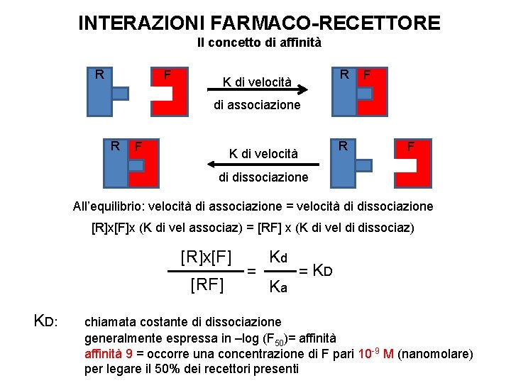 INTERAZIONI FARMACO-RECETTORE Il concetto di affinità R F R K di velocità F di