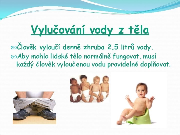 Vylučování vody z těla Člověk vyloučí denně zhruba 2, 5 litrů vody. Aby mohlo