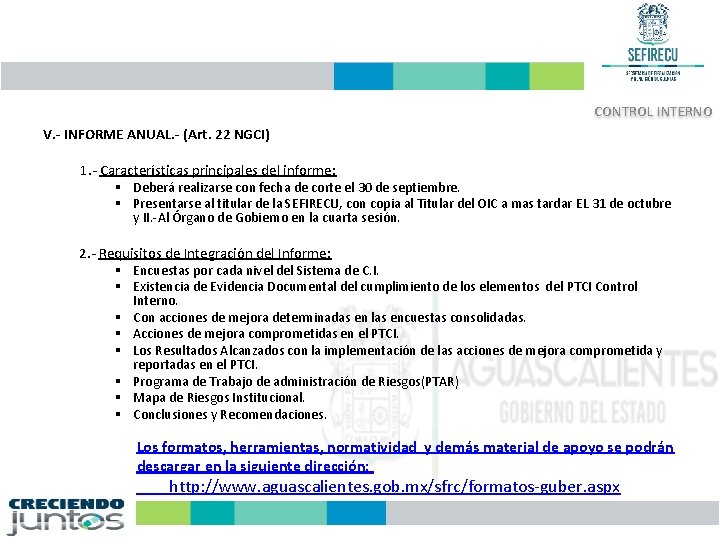 CONTROL INTERNO V. - INFORME ANUAL. - (Art. 22 NGCI) 1. - Características principales