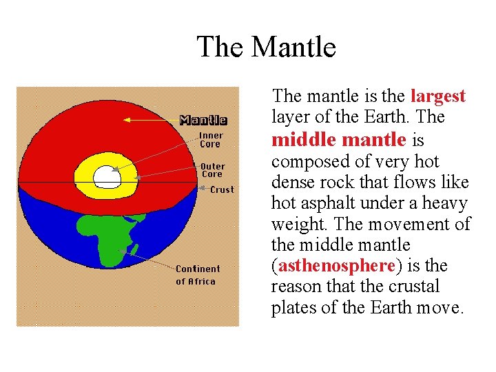 The Mantle The mantle is the largest layer of the Earth. The middle mantle