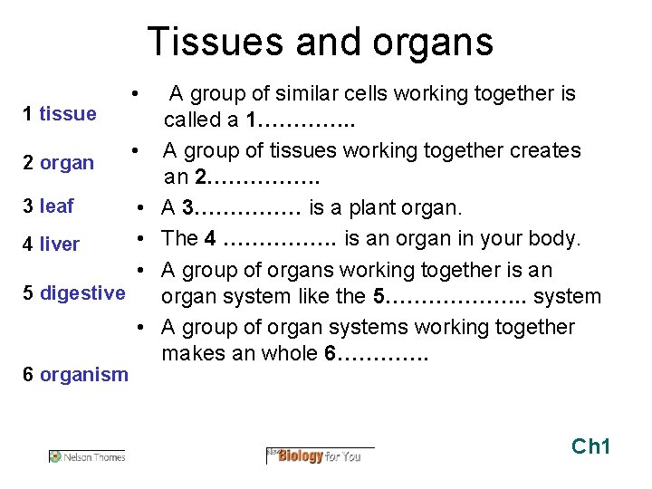 Tissues and organs 1 tissue 2 organ 3 leaf 4 liver 5 digestive •