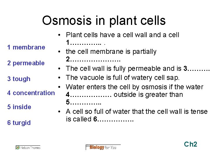 Osmosis in plant cells • Plant cells have a cell wall and a cell