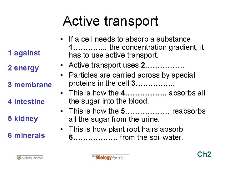 Active transport 1 against 2 energy 3 membrane 4 intestine 5 kidney 6 minerals