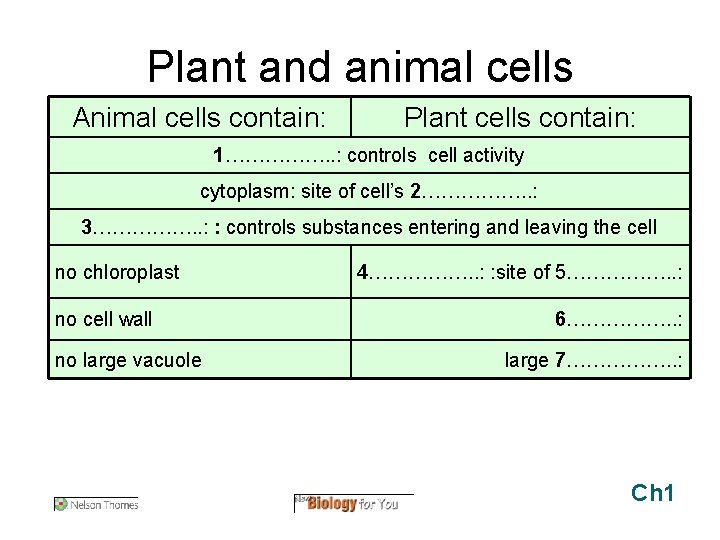 Plant and animal cells Animal cells contain: Plant cells contain: 1……………. . : controls