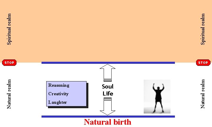 Spiritual realm Reasoning Creativity Soul Life Laughter Natural birth Natural realm Spiritual realm STOP