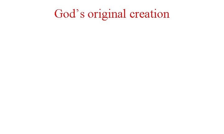 God’s original creation 