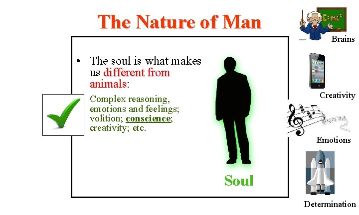 The Nature of Man Brains • The soul is what makes us different from