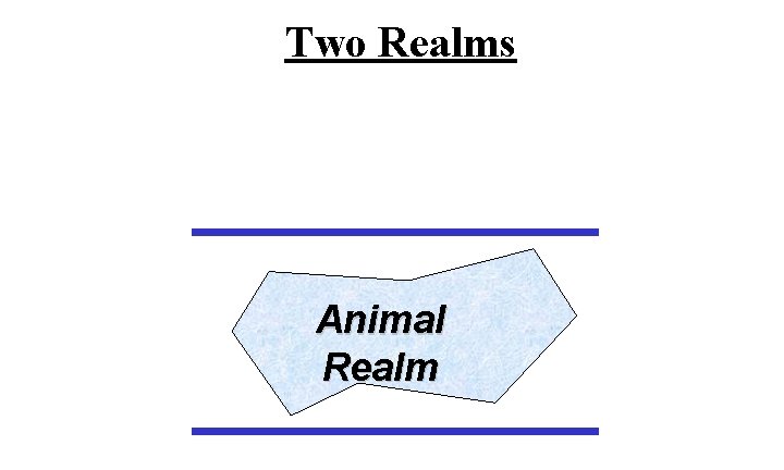 Two Realms Animal Realm 