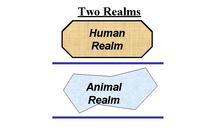 Two Realms Human Realm Animal Realm 