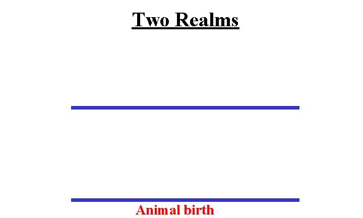 Two Realms Animal birth 