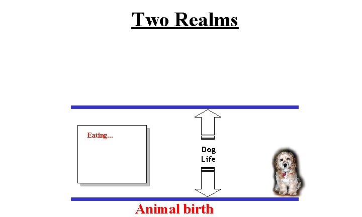 Two Realms Eating… Sleeping… Playing… Dog Life Eating… Animal birth 