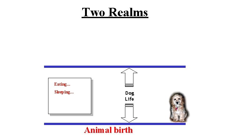 Two Realms Eating… Sleeping… Playing… Dog Life Eating… Animal birth 