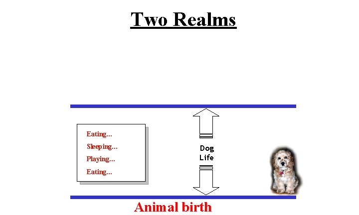 Two Realms Eating… Sleeping… Playing… Dog Life Eating… Animal birth 