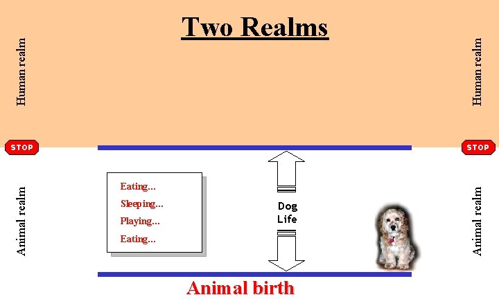 STOP Eating… Sleeping… Playing… Dog Life Eating… Animal birth Animal realm STOP Human realm