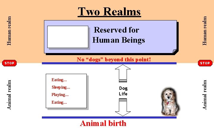 No “dogs” beyond this point! Animal realm STOP Eating… Sleeping… Playing… Dog Life Eating…